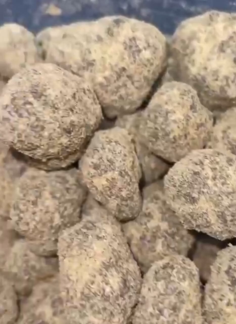 WhatsApp Image 2024-03-28 at 7.40.30 PM